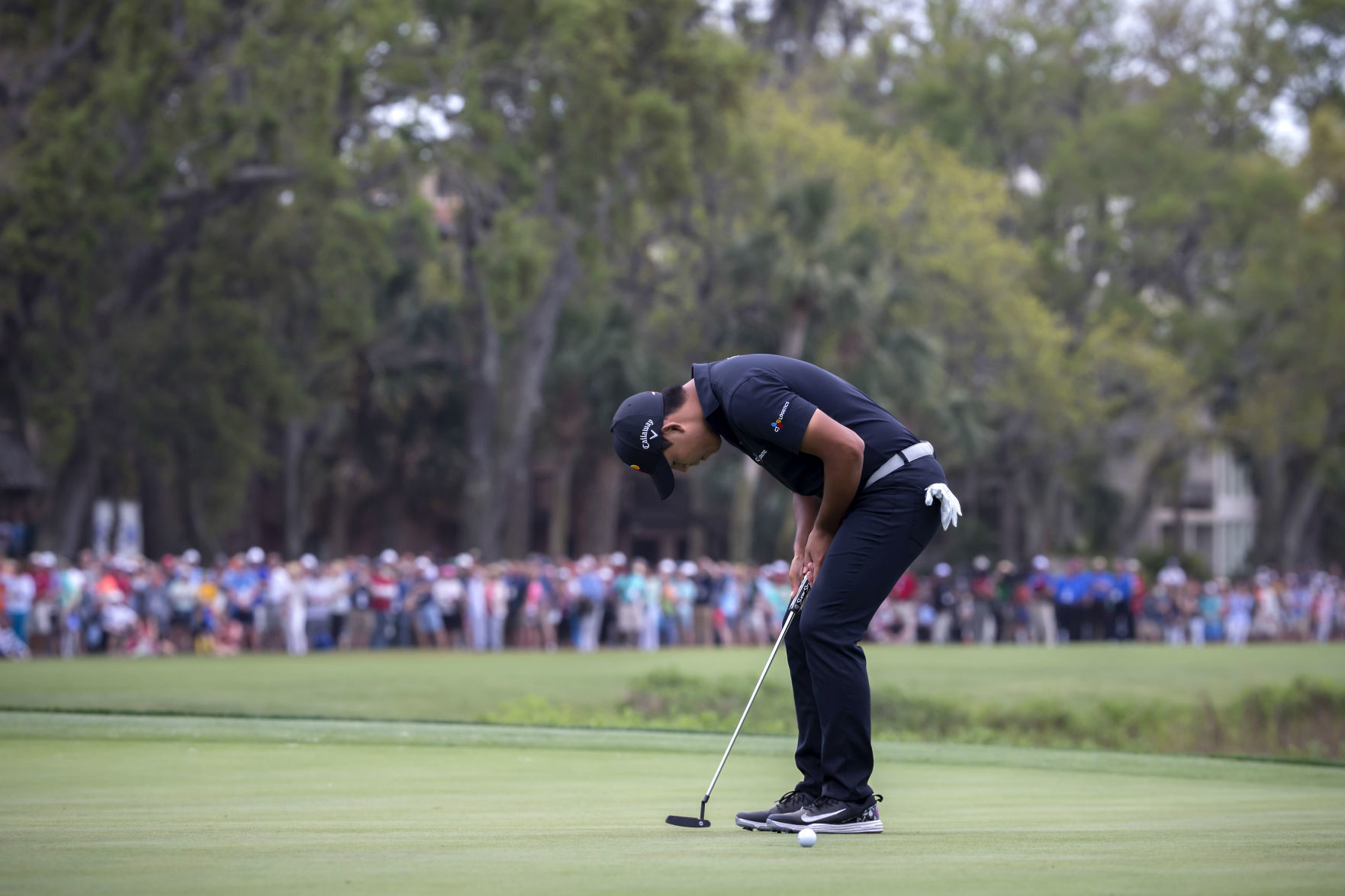 RBC Heritage Golf